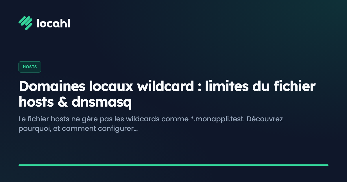 Domaines locaux wildcard : limites du fichier hosts & dnsmasq